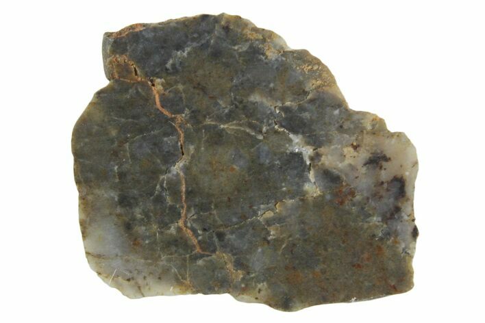 Lunar Meteorite ( g) Slice - Laayoune #360185